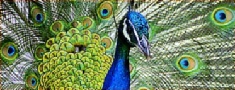 Philadelphia Zoo